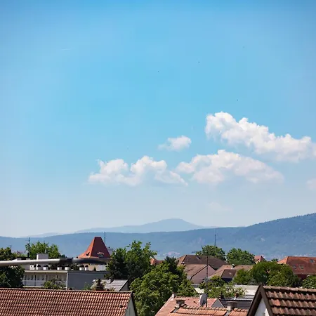 Lejlighed Horizon - Private Garage - Balcony - Splendid View Colmar